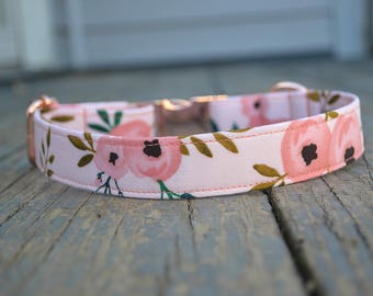 girl dog collar girl dog collar